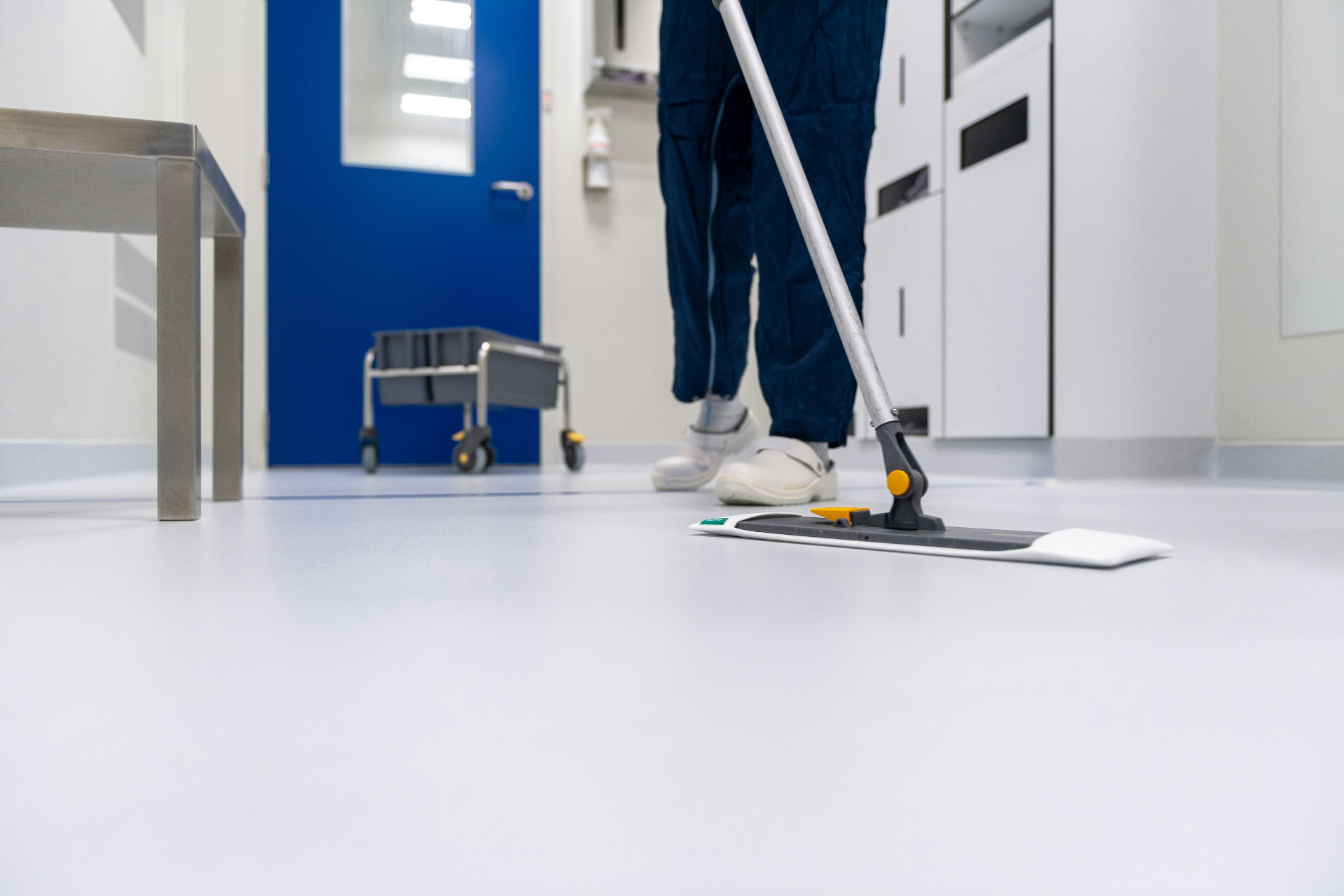 Person mopping a hardwood floor to a streak-free shine in a bright Michigan home