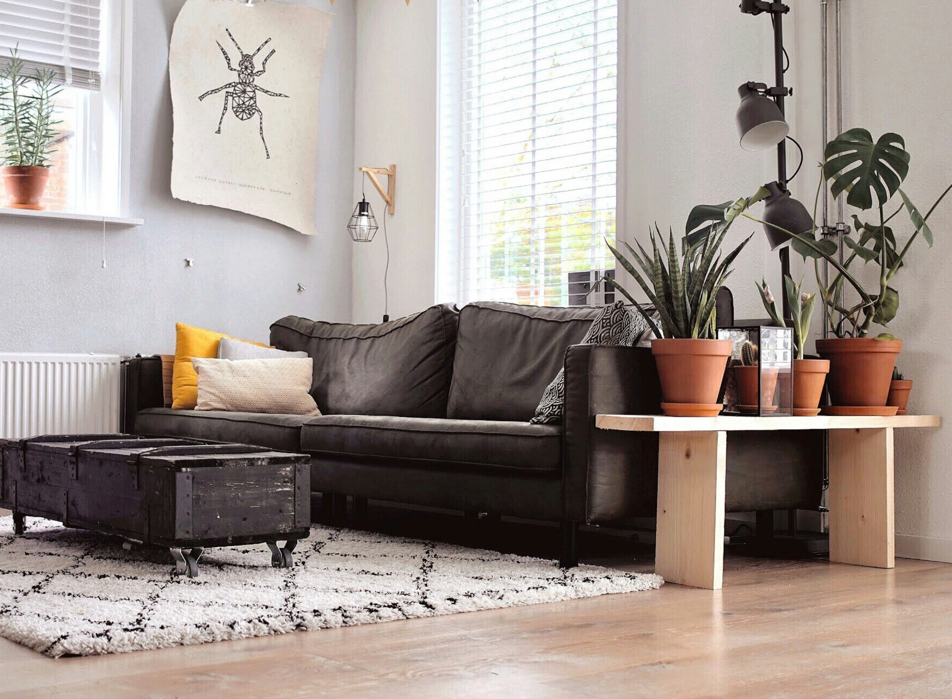 Spotless bright living room with vacuumed hardwood floors after cleaning by Kingdom Path
